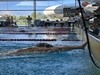 Img 41